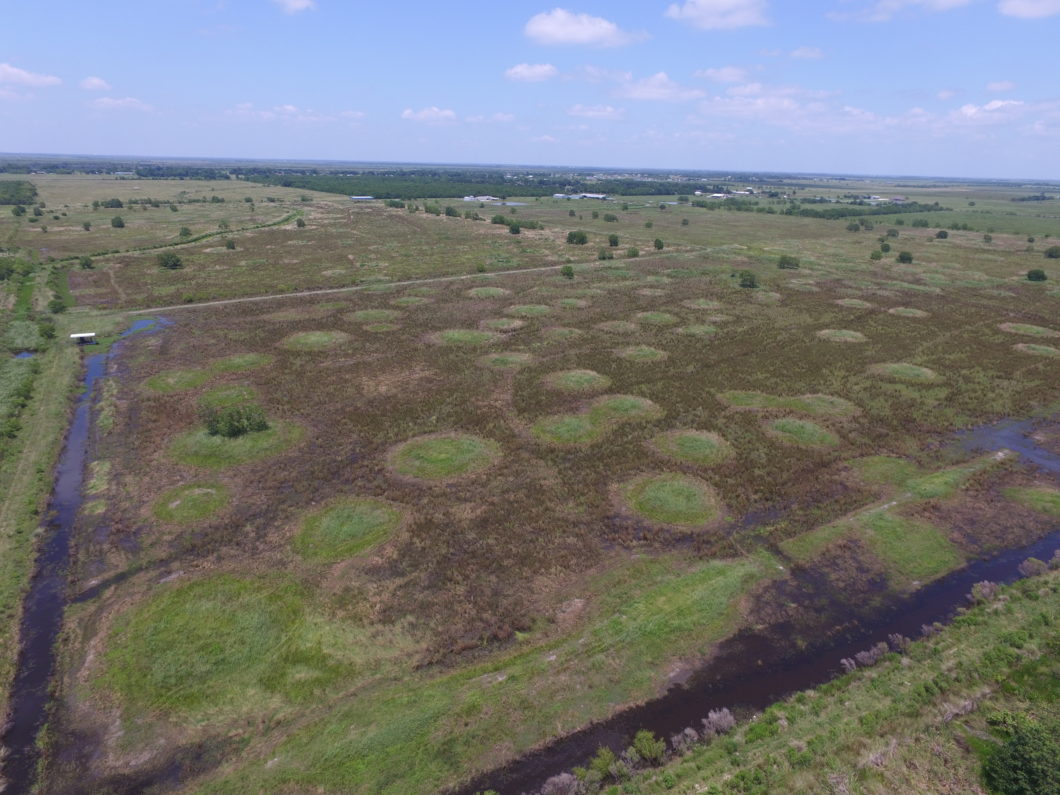 Drone aerial of pimple mounds and existing wet pasture (photo: Jacob James)