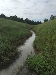 Existing conditions, unnamed tributary to mainstem of Cedar Bayou. (Photo Credit: Water & Land Solutions, Inc.)